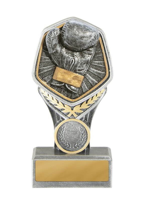 Boxing Trophy 210mm