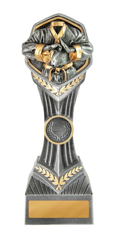 Martial Arts Trophy 210mm