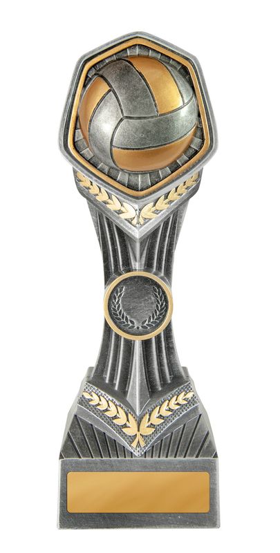 Volleyball Trophy 210mm