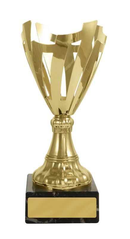 Gold Metal Cup 205mm
