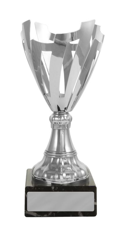 Silver Metal Cup 205mm