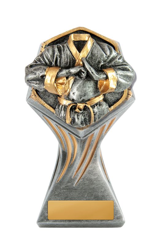 Martial Arts Trophy 175mm