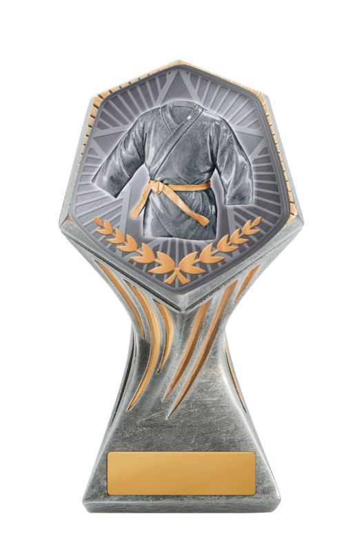 Martial Arts Trophy 225mm
