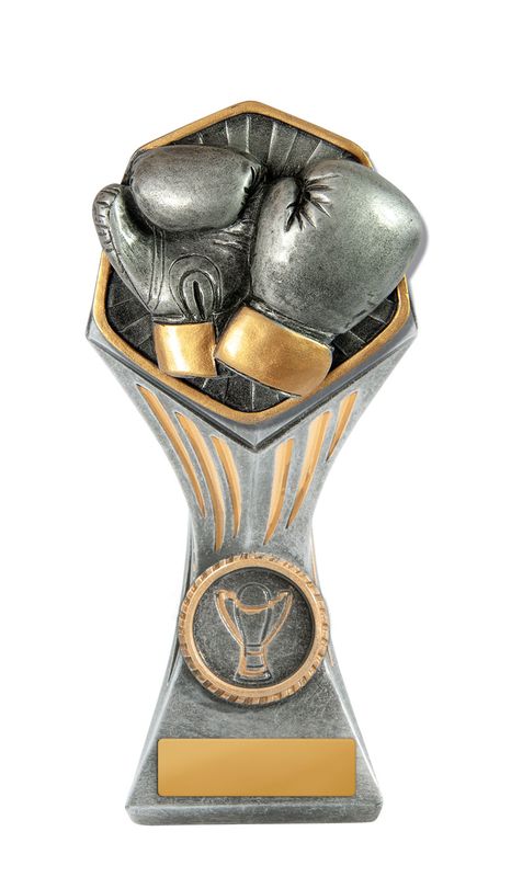 Boxing Gladiator Trophy 150mm