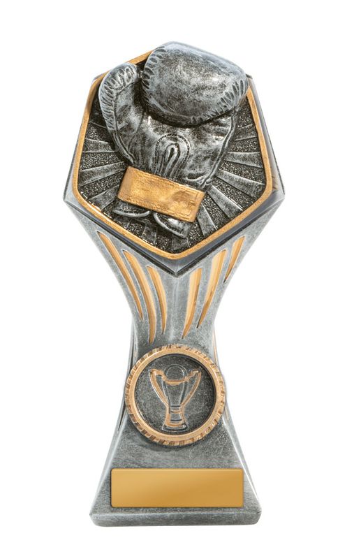 Boxing Trophy 150mm