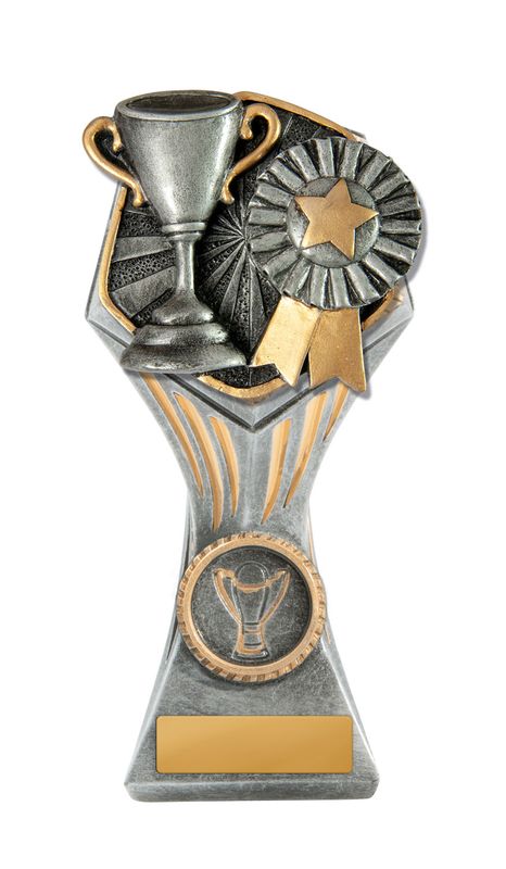 Achievement Schools Trophy 225mm