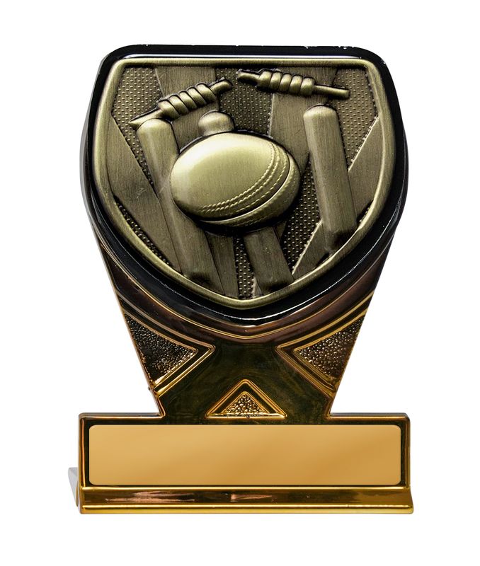 Cricket Trophy 175mm