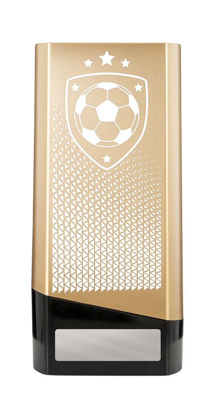Football Trophy 220mm