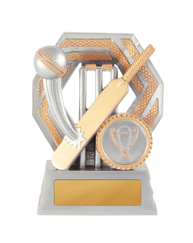 Cricket Trophy 100mm
