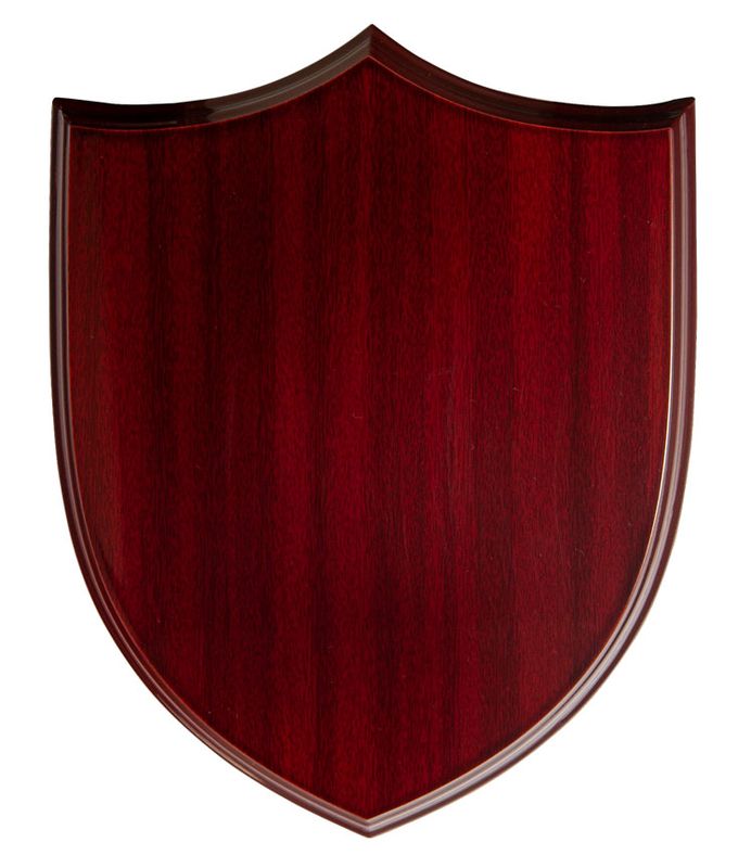 All Sports Plaque 160mm