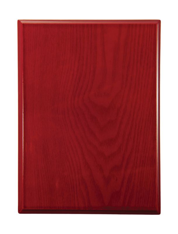 Plaque All Sports 300mm