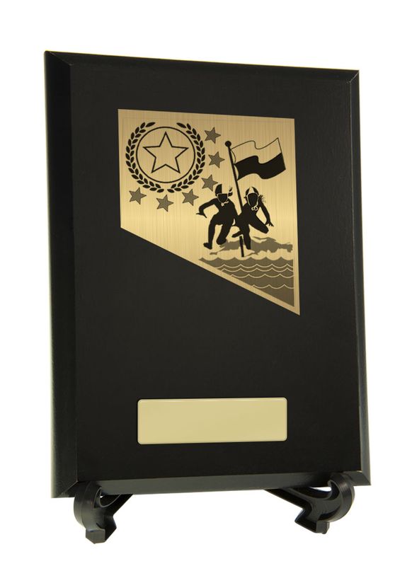 Plaque with Lifesaving Trim 200mm