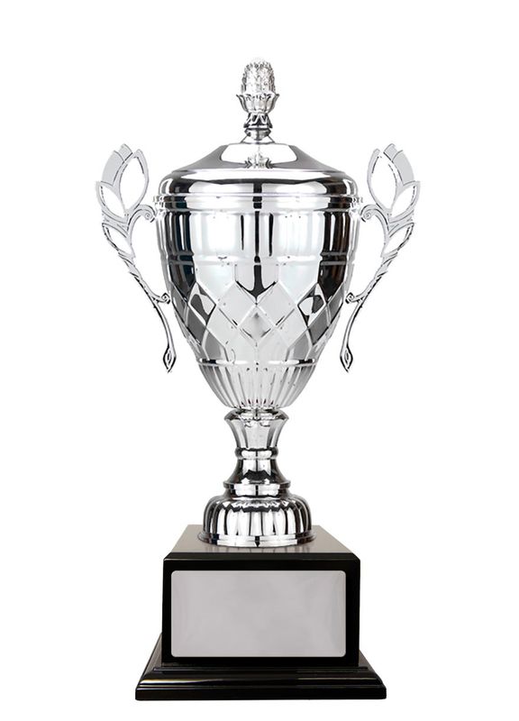 Silver Metal Cup 480mm