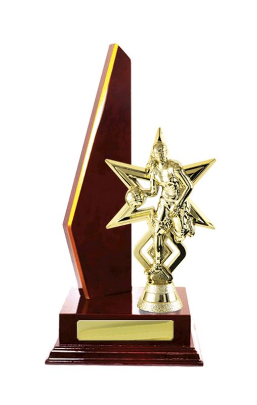 Basketball Trophy 305mm