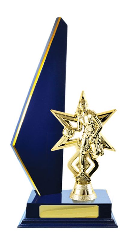 Basketball Trophy 305mm