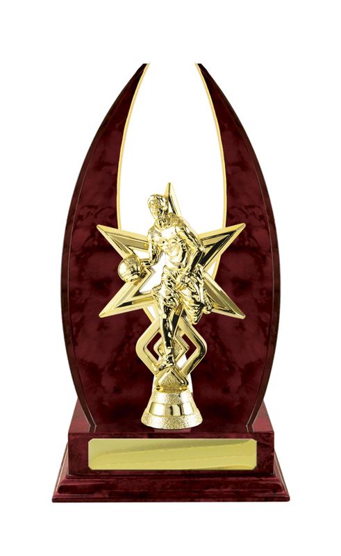 Basketball Trophy 270mm