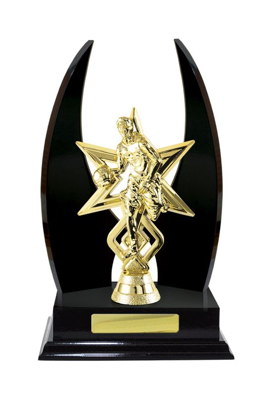 Basketball Trophy 270mm