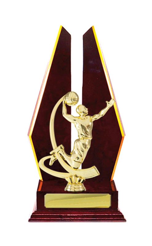 Basketball Trophy 305mm