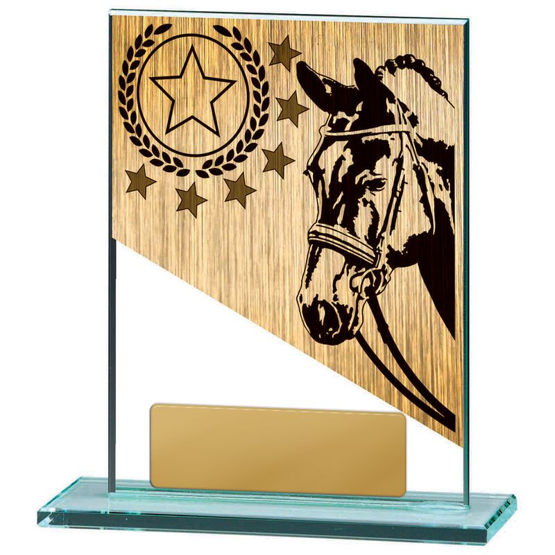 Equestrian Glass Trophy 150mm