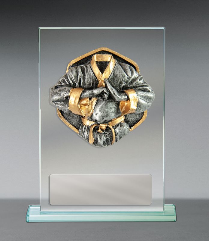 Martial Arts Glass Trophy 170mm