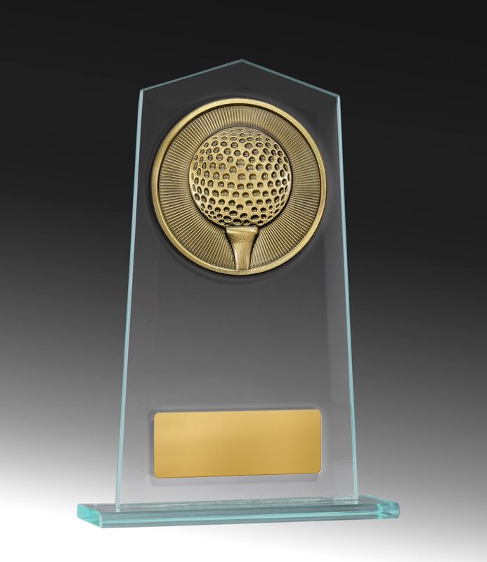 Martial Arts Glass Trophy 210mm