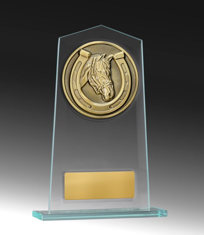 Swimming Glass Trophy 210mm