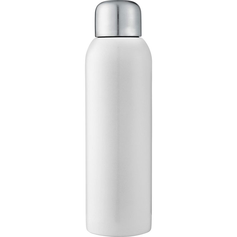 Stainless Sports Bottle
