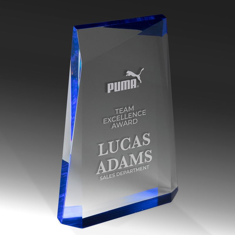 Pinnacle Acrylic Award 255mm