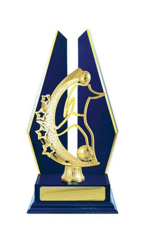 Football Male Trophy 305mm