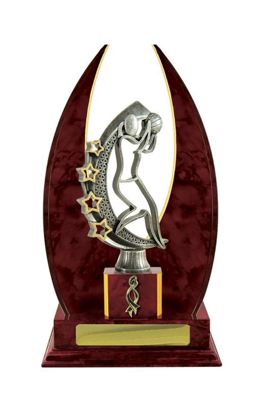 Netball Trophy 270mm