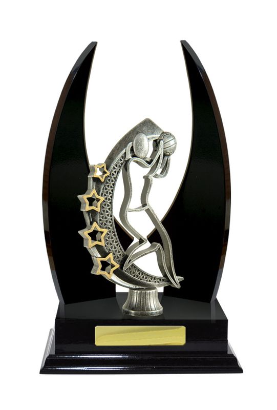Netball Trophy 270mm