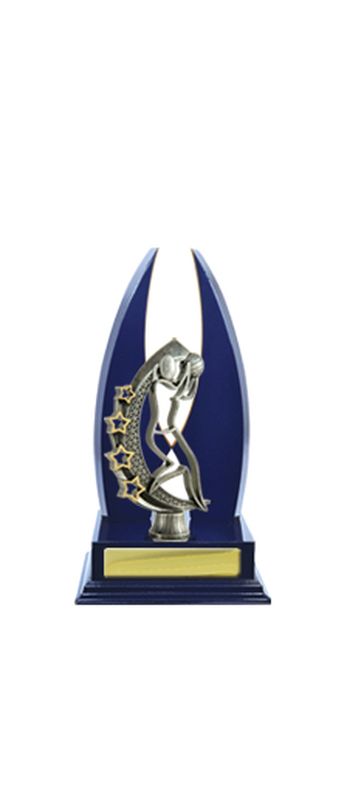 Netball Trophy 270mm