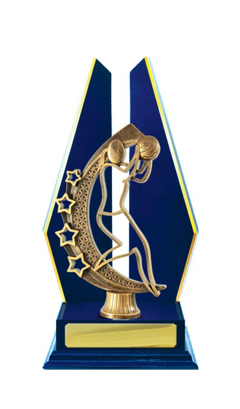 Netball Trophy 305mm