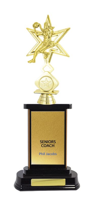 Netball Trophy 327mm