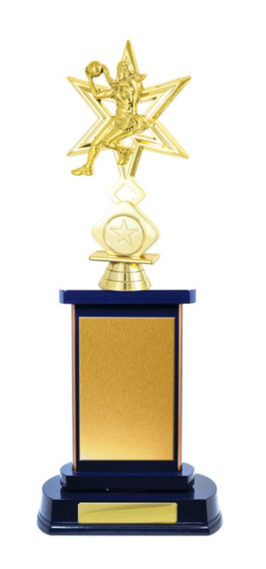 Netball Trophy 327mm