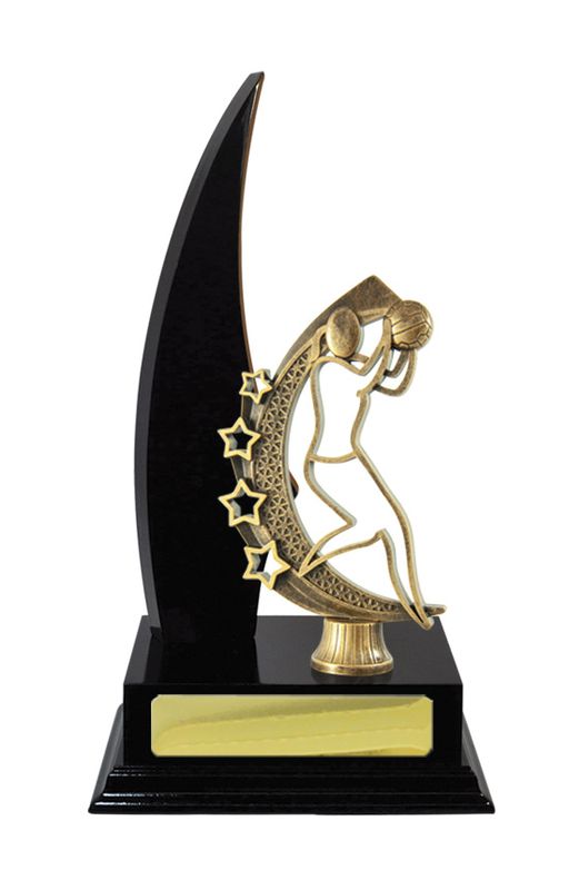 Netball Trophy 270mm