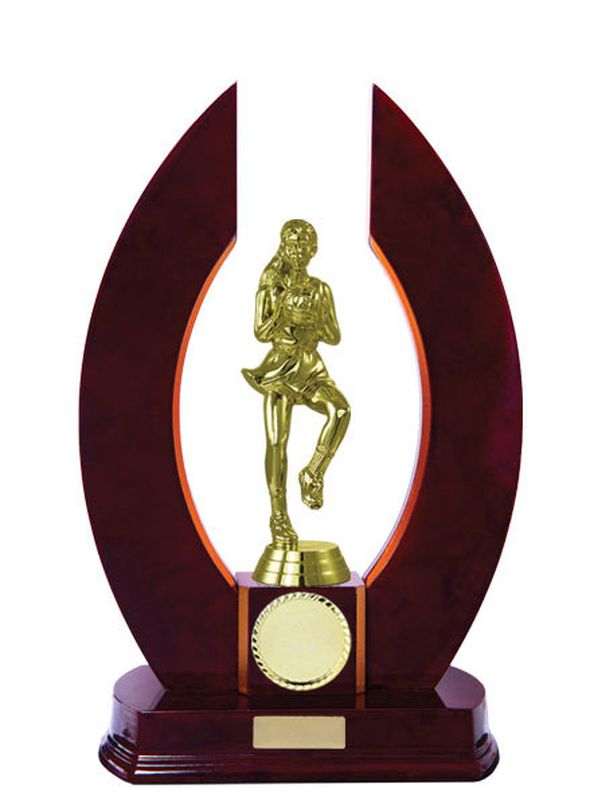 Netball Trophy 320mm