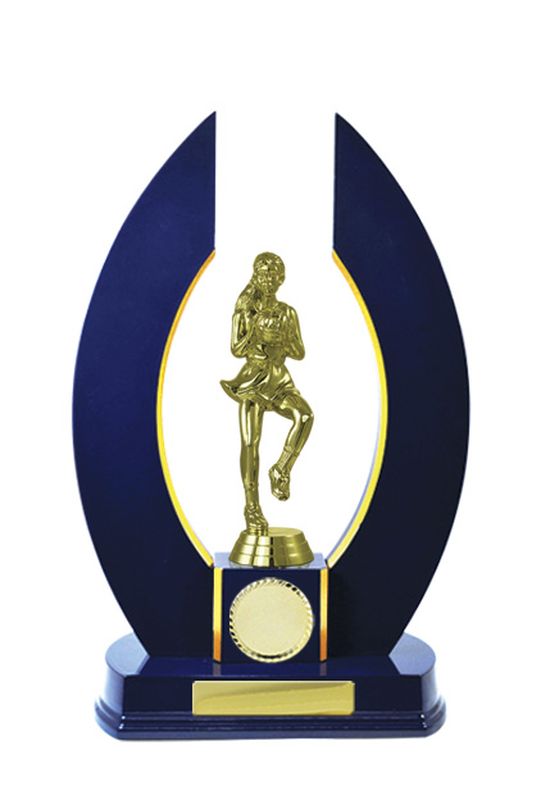 Netball Trophy 320mm