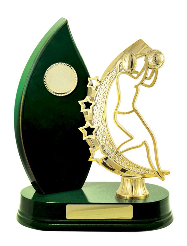 Netball Trophy 230mm