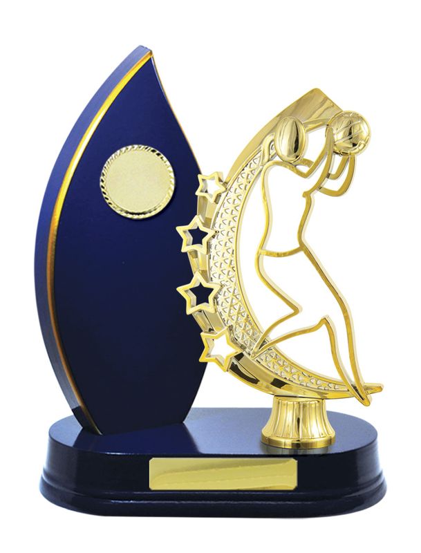 Netball Trophy 230mm