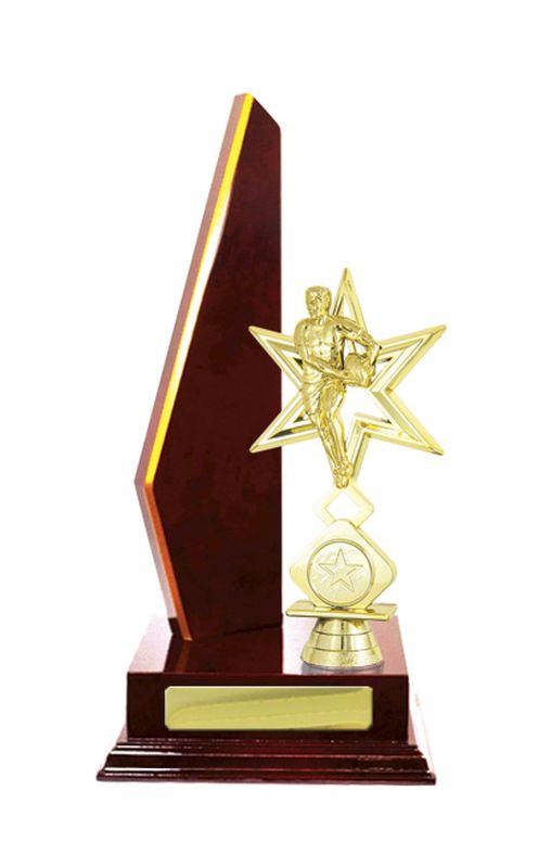 Rugby Trophy 305mm
