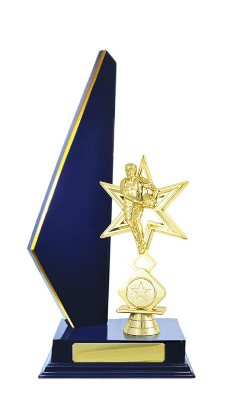 Rugby Trophy 305mm
