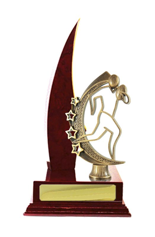 Rugby Trophy 270mm