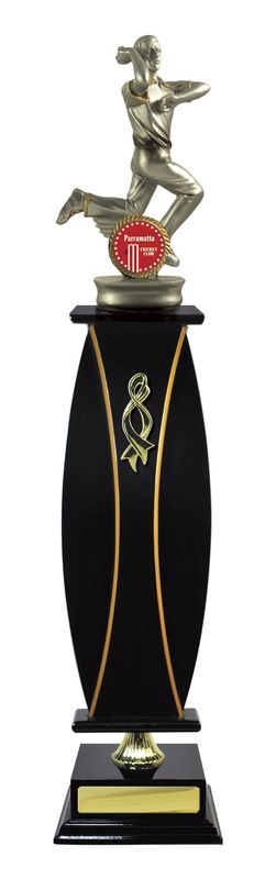 Cricket Trophy 438mm