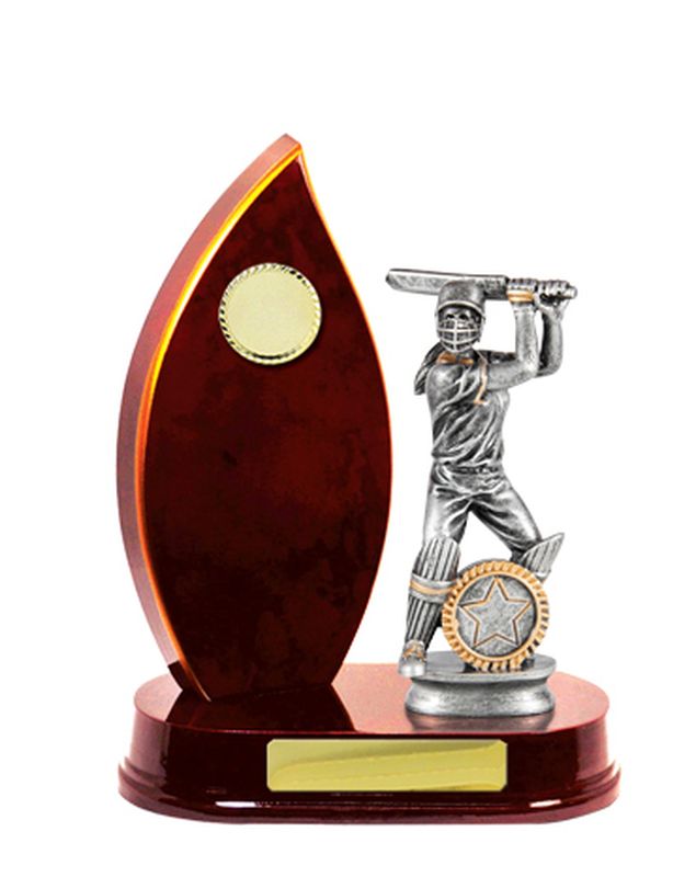 Cricket Trophy 230mm