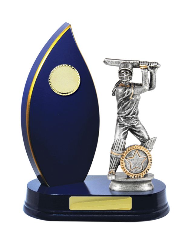Cricket Trophy 230mm