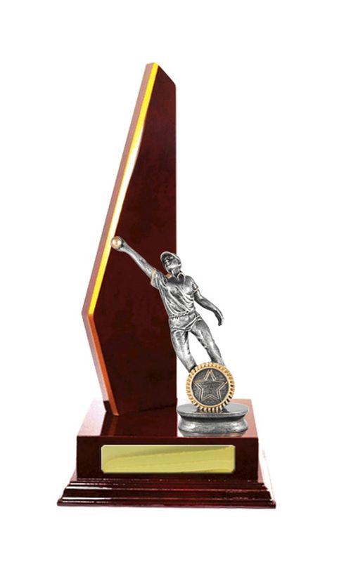 Cricket Trophy 305mm