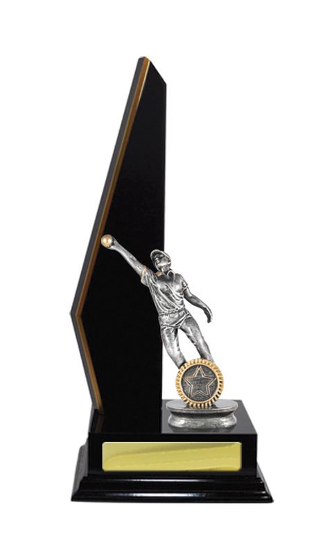 Cricket Trophy 305mm