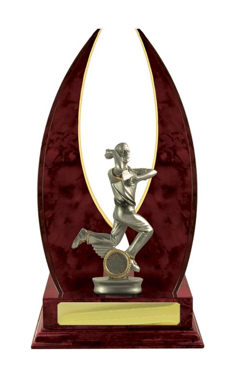 Cricket Male Trophy 270mm