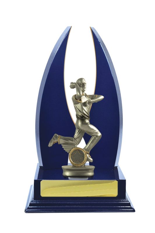 Cricket Male Trophy 270mm